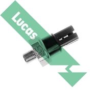 LUCAS Oil Pressure Switch (SOJ121)